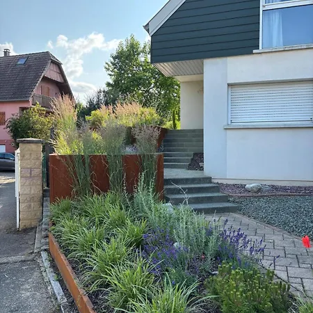Grande Maison De Standing A 15 Mn De Bale * Folgensbourg