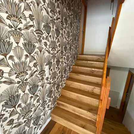 Villa Grande Maison De Standing A 15 Mn De Bale Folgensbourg