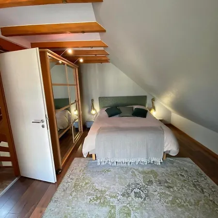 Grande Maison De Standing A 15 Mn De Bale * Folgensbourg