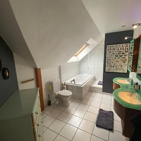 Grande Maison De Standing A 15 Mn De Bale Villa Folgensbourg