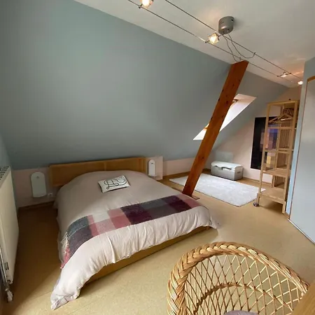 Villa Grande Maison De Standing A 15 Mn De Bale Folgensbourg
