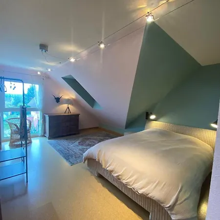 Grande Maison De Standing A 15 Mn De Bale Villa Folgensbourg