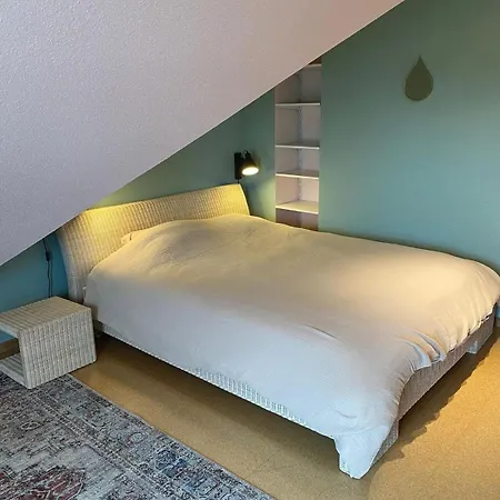 Villa Grande Maison De Standing A 15 Mn De Bale *